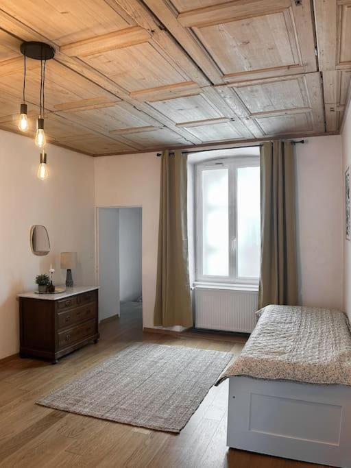 Hypercentre 80M2, A Deux Pas Du Chateau Des Rohan Σαβέρν Εξωτερικό φωτογραφία