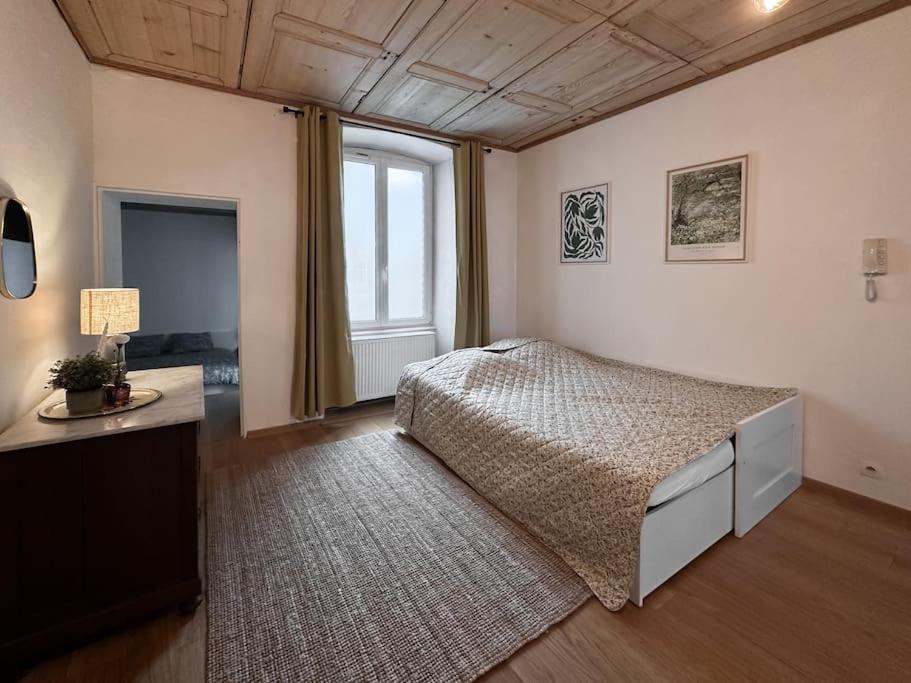 Hypercentre 80M2, A Deux Pas Du Chateau Des Rohan Σαβέρν Εξωτερικό φωτογραφία